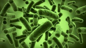gut-bacteria-1